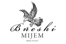 Logo for Bneshi Mijem Logo for Bneshi Mijem